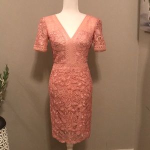Tadashi Shoji Katelyn Lace Dress